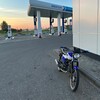 Логотип телеграм канала @ganckrx — ganck.rx