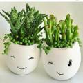 لوگوی کانال تلگرام gandomcactus — کاکتوس گندم