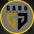 Logo saluran telegram gangtournament — GaNg | TouRNameNt