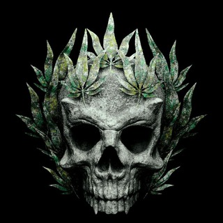 Logo del canale telegramma ganjadarkshop - .