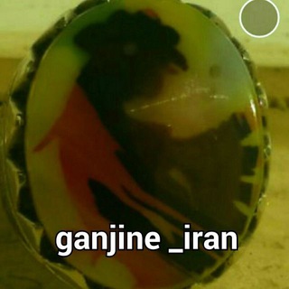 لوگوی کانال تلگرام ganjine_iran — گنجینه