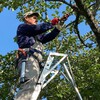 Логотип телеграм канала @garden_specialist — Специалист по обрезке и уходу за садом