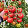 Логотип телеграм канала @gardenerclub — Клуб позитивных огородников