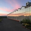 Логотип телеграм канала @gardeniaspb — Гардения - цветы оптом Санкт-Петербург.