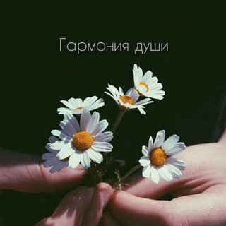 Telegram channel Гармония души | психология, мысли , мотивация 🕊 logo