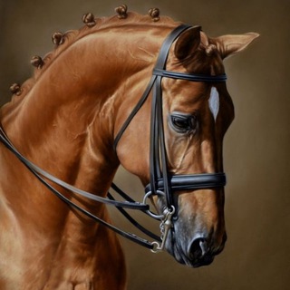 Логотип телеграм -каналу garni_koni — Лошади и кони 🧡 Красивые фотографии и картинки