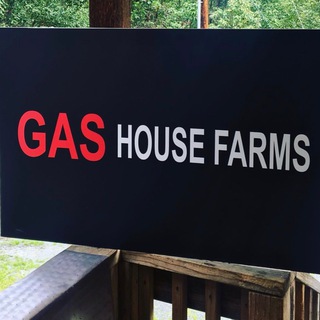 Logo saluran telegram gas_house_gas_cartel — GAS HOUSE GAS CARTEL