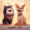 Логотип телеграм канала @gastro_vet — Гастровет