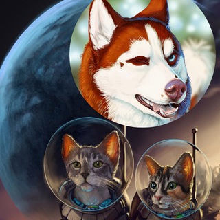Логотип телеграм канала @gatos_y_chaski — ЯШМАть в КОТОднях
