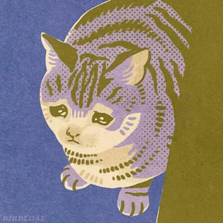 Logotipo do canal de telegrama gatosestranhos - Gatinhos