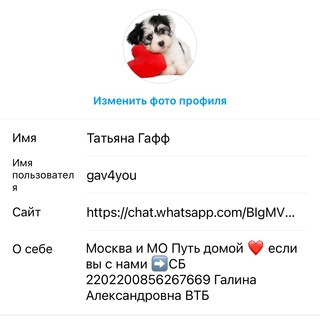 Логотип телеграм канала @gav4you — Gav4you