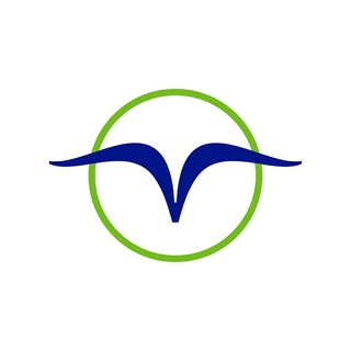 Logotipo del canal de telegramas gaviota_grupodeturismo - Gaviota-Grupo de Turismo