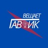 Логотип телеграм канала @gavrikgo — Вещает Гаврик!
