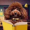 Логотип телеграм канала @gawgawschool9 — ПРЕДЗАПИСЬ ГАВ-ГАВ ШКОЛА