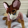 Telegram channel Gay Murr stuff (18 ) logo