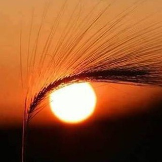 Логотип телеграм канала @gazagrochem — gazagrochem.info