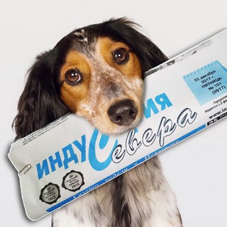 Логотип телеграм канала @gazeta_industriya_severa — Газета "Индустрия Севера"