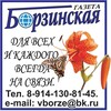 Логотип телеграм канала @gazeta20 — Борзинская газета🗞
