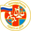 Логотип телеграм канала @gbmse93 — МСЭ в ДНР