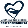Логотип телеграм канала @gbrzooru — ГБР. Зоозащита