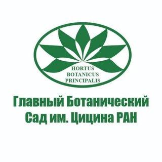 Логотип телеграм канала @gbsad — Главный ботанический сад им. Н.В. Цицина РАН (Москва)