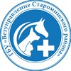 Логотип телеграм канала @gbuvetstar — ГБУ Ветуправление Староминского района