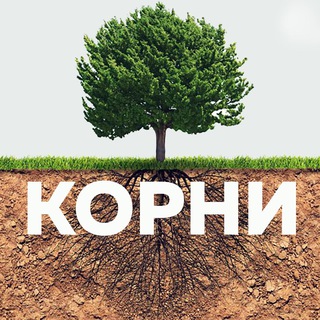 Логотип телеграм канала @gde_moi_korni — КОРНИ