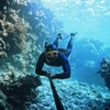 Логотип телеграм канала @gde_moryachok — Где Морячок? К морю, к ветру, к просторам 🐬