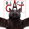 Логотип телеграм канала @gdzblackcat — Интернет Урок ГДЗ|11 класс [АРХИВ: 9 - 10 класс]BlackCat