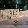 لوگوی کانال تلگرام gedare — جداريات💙