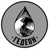 Логотип телеграм канала @gedeonrf — Гедеон - все на фронт