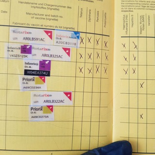 Logo des Telegrammkanals gegenimpfen - Masernimpflicht umgehen Hilfe hier🍀Wir gegen: MMR MASERN MUMPS RÖTELN Impfungen