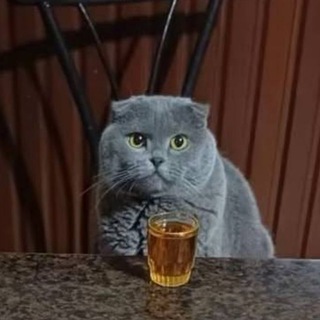 Логотип телеграм канала @gektor_1914 — Сто соток абсурда 🤡