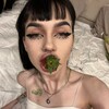 Логотип телеграм канала @gelatokusher — дрипчик