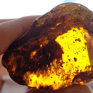 لوگوی کانال تلگرام gem_ir — مرکز معاملات کهربا و یاقوت