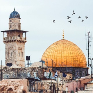 Telgraf kanalının logosu gencmucahideler — Aksa muhafızları 🇹🇷🇵🇸