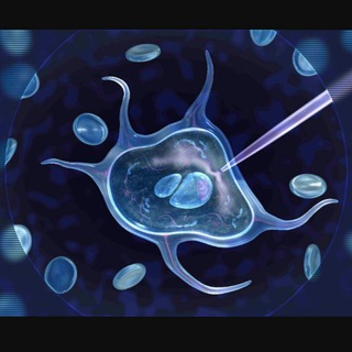 Logo of telegram channel genetic_engineering — Genetic Engineering