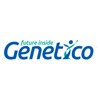 Логотип телеграм канала @geneticolab — Genetico