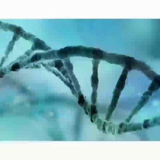 لوگوی کانال تلگرام genetics_world — Genetics World