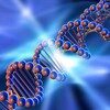 Logo of telegram channel genetics_4u — genetics_4u