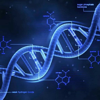 Telegram kanalining logotibi genetika — Genetika