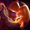 Логотип телеграм канала @genetika_diagnoz — Генетический диагноз