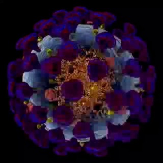 Logo des Telegrammkanals genimpfnebenwirkungenvisuell - Realbildaufnahmen von Spike-Gen-Vergabe-Nebenwirkungen (Gen-Impfungen) gegen das SARS-CoV-2 verursachene COVID-19
