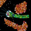 Логотип телеграм канала @genomeia — Genomeia