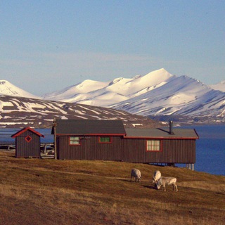 Логотип телеграм канала @geomapshd — Только качественные карты