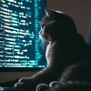 Telegram channel Программист вещает logo