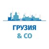 Логотип телеграм канала @geososedi — Грузия и соседи