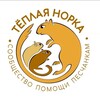 Логотип телеграм канала @gerbilscare — Песчанки. Теплая норка.