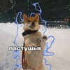 Логотип телеграм канала @gerdiklega3 — Пᴀᴄᴛуɯья ᴧиᴄᴀ