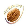 Telegram channel گردو۸۰ GERDU80 logo